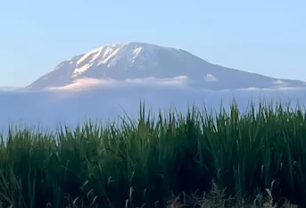 Tanzanie
