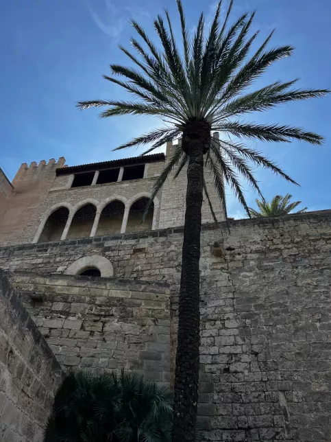 Un environnement suscitant la curiosité