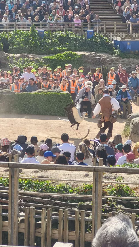 Puy Du Fou