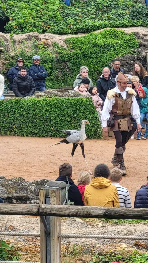 Jour 2 Puy Du Fou 