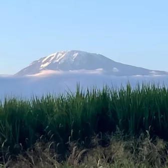Tanzanie