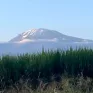 Tanzanie